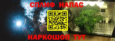 Альфа ПВП Дмитров