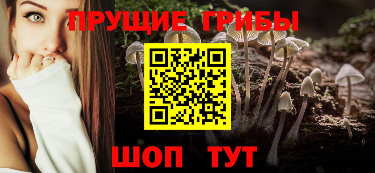 Псилоцибиновые грибы прущие грибы Ессентуки