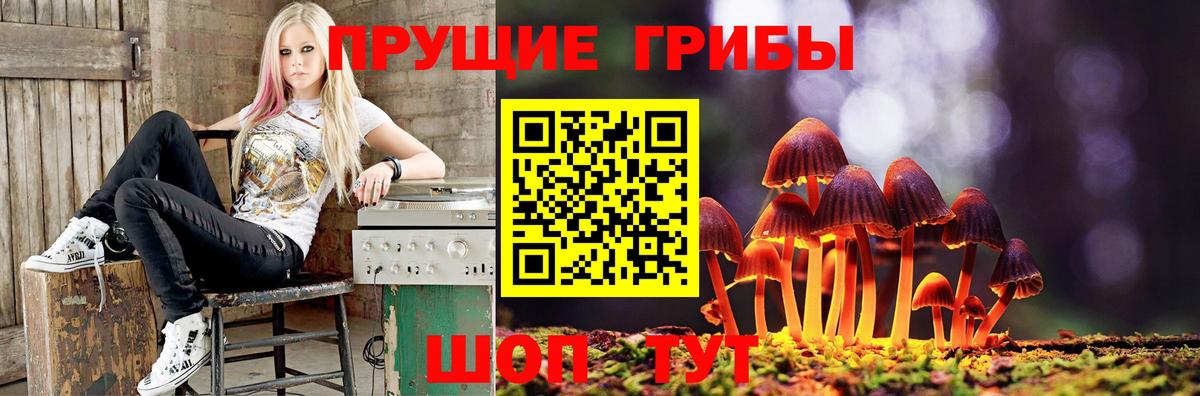 Псилоцибиновые грибы мухоморы  сколько стоит  Ессентуки  Вход с VPN 