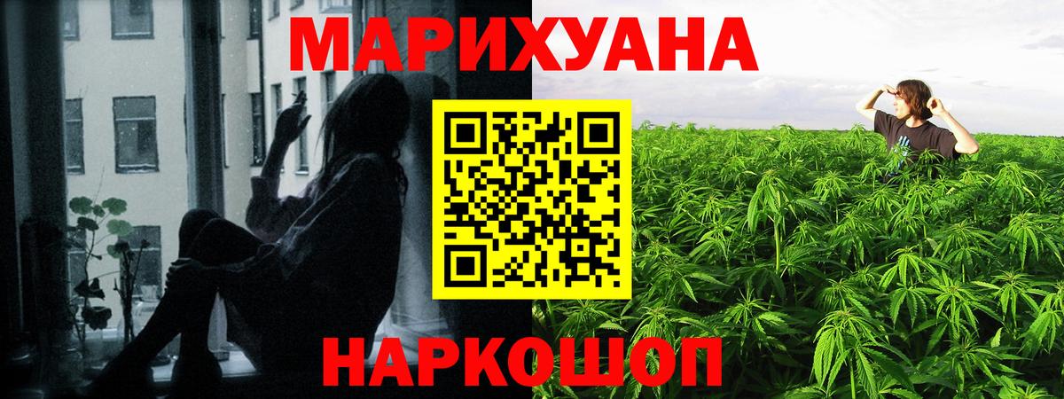 Бошки марихуана Bruce Banner Ессентуки